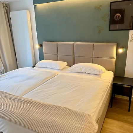 公寓 Zentrales Studio-appartment Mit Terrasse 希尔德斯海姆