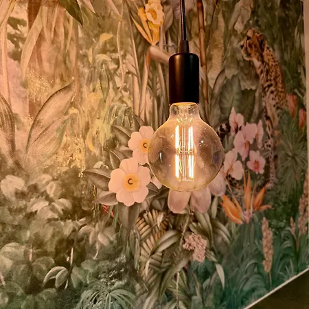 公寓 Zentrales Studio-appartment Mit Terrasse