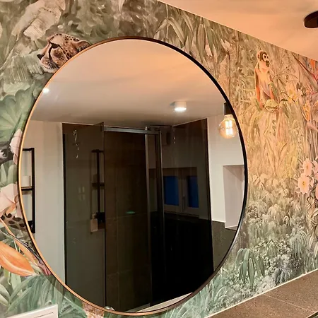 公寓 Zentrales Studio-appartment Mit Terrasse 希尔德斯海姆